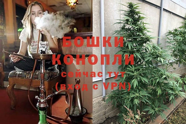 твердый Абаза