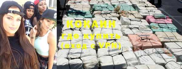 твердый Абаза