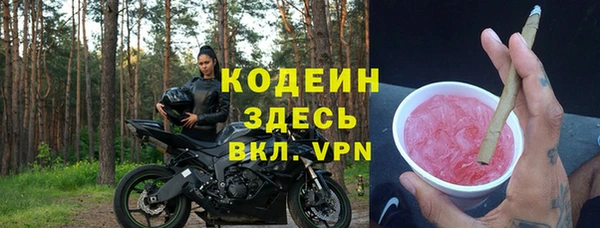 крисы Нижний Тагил