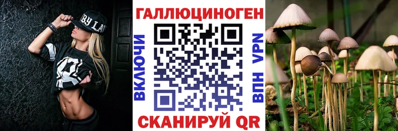 Псилоцибиновые грибы Magic Shrooms  OMG ССЫЛКА  Алатырь  магазин  наркотиков 