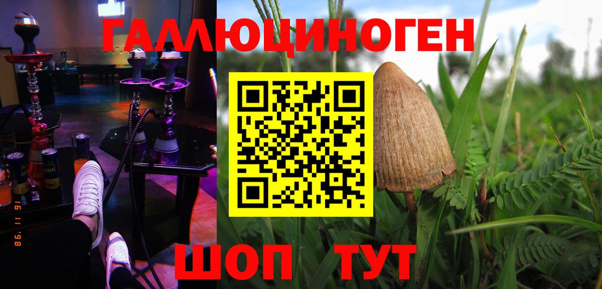 A-PVP Алатырь