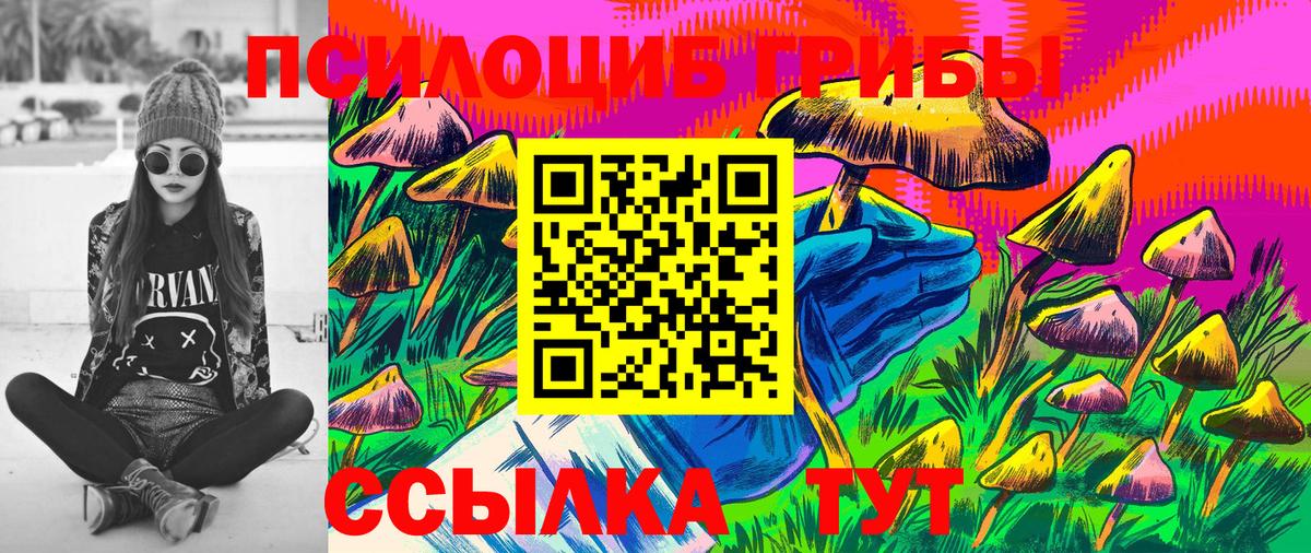 Псилоцибиновые грибы Psilocybine cubensis Алатырь