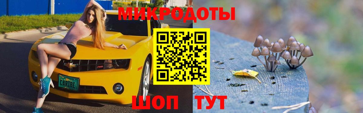 закладки  Вход с VPN  Алатырь  Галлюциногенные грибы мухоморы 